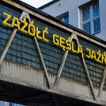 "Zażółć gęślą jażń" is the shortest sentence with all Polish diacritics