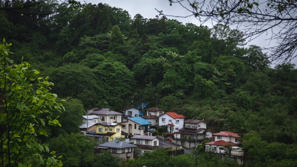 a small village nestled on a hill surrounded by trees
