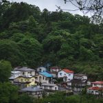 a small village nestled on a hill surrounded by trees